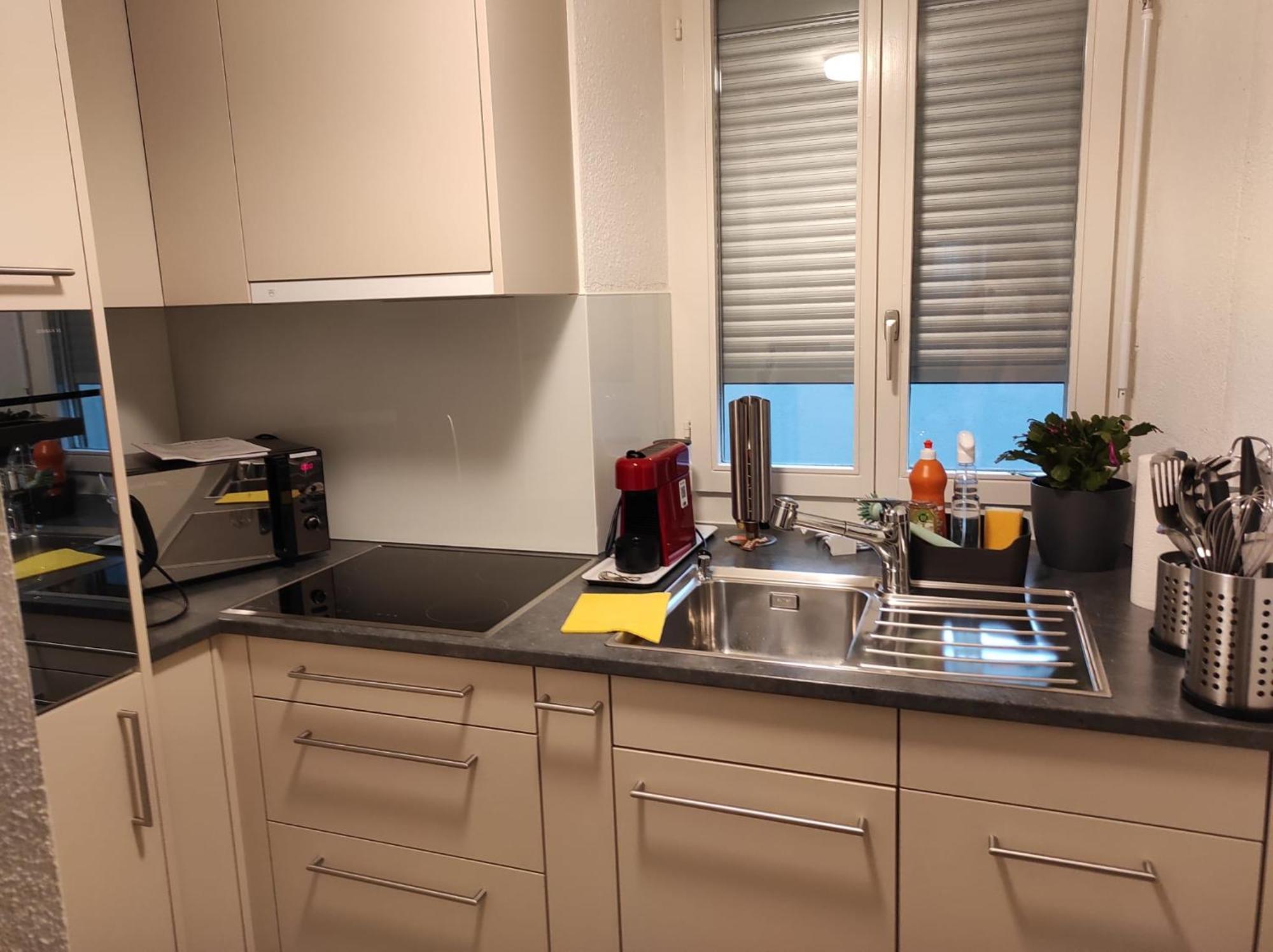 Bastis Family Apartment Lucerne Bagian luar foto